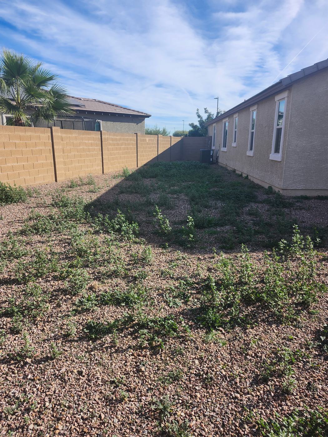 Backyard Gravel Weed Removal before service