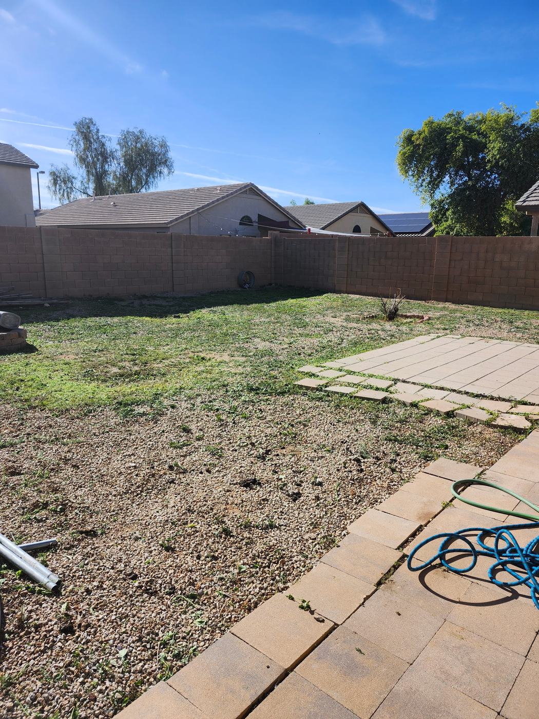 Front Palm Yard Cleanup after service