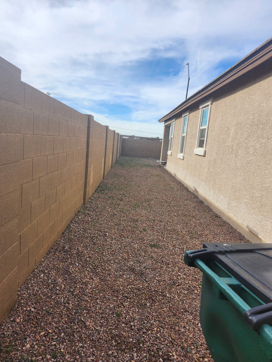 Front Lawn and Palm Cleanup after service