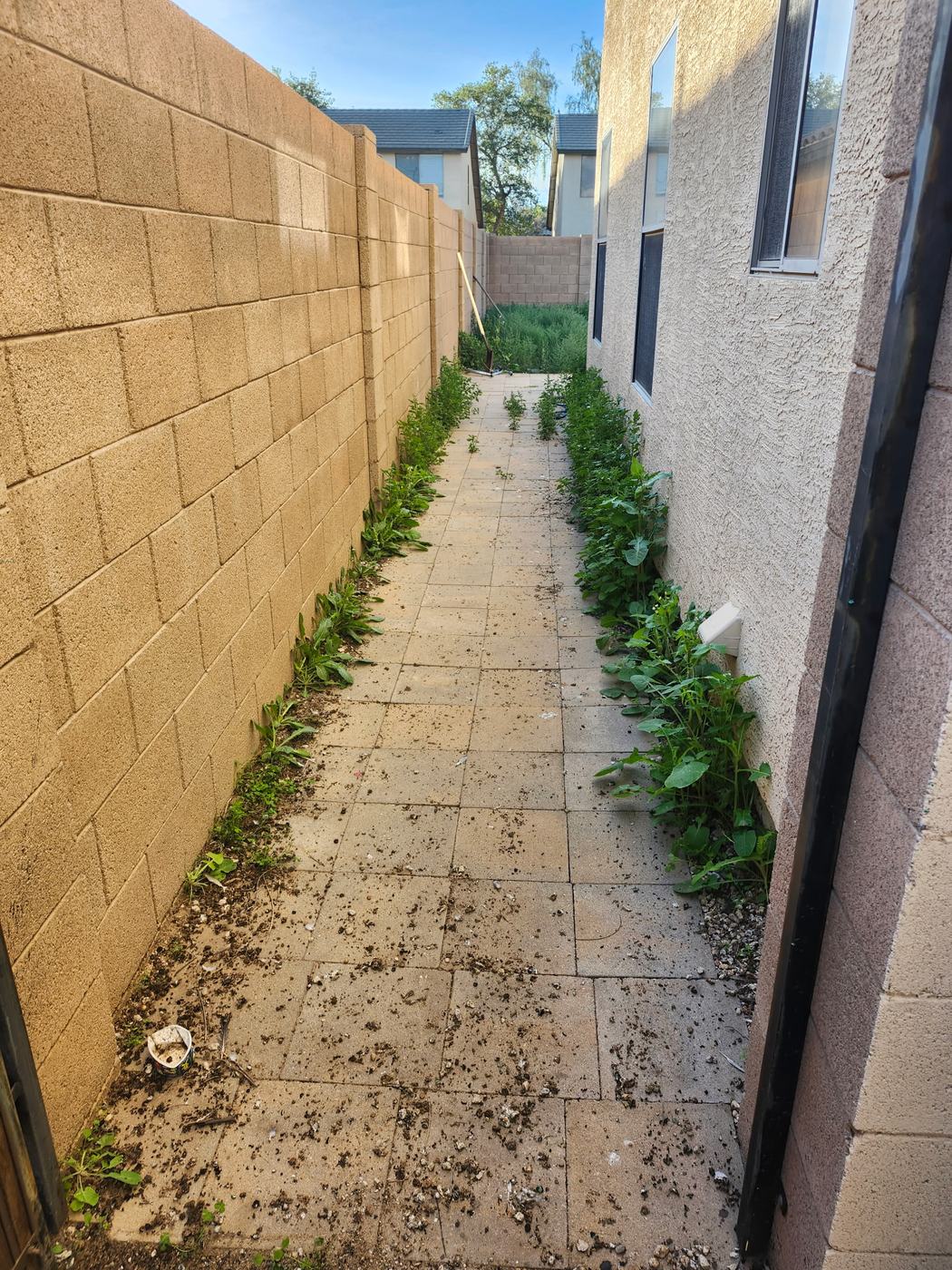 Paver Side Yard Cleanup before service