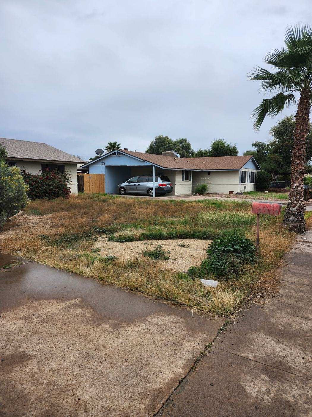 Side Yard Weed Reset before service