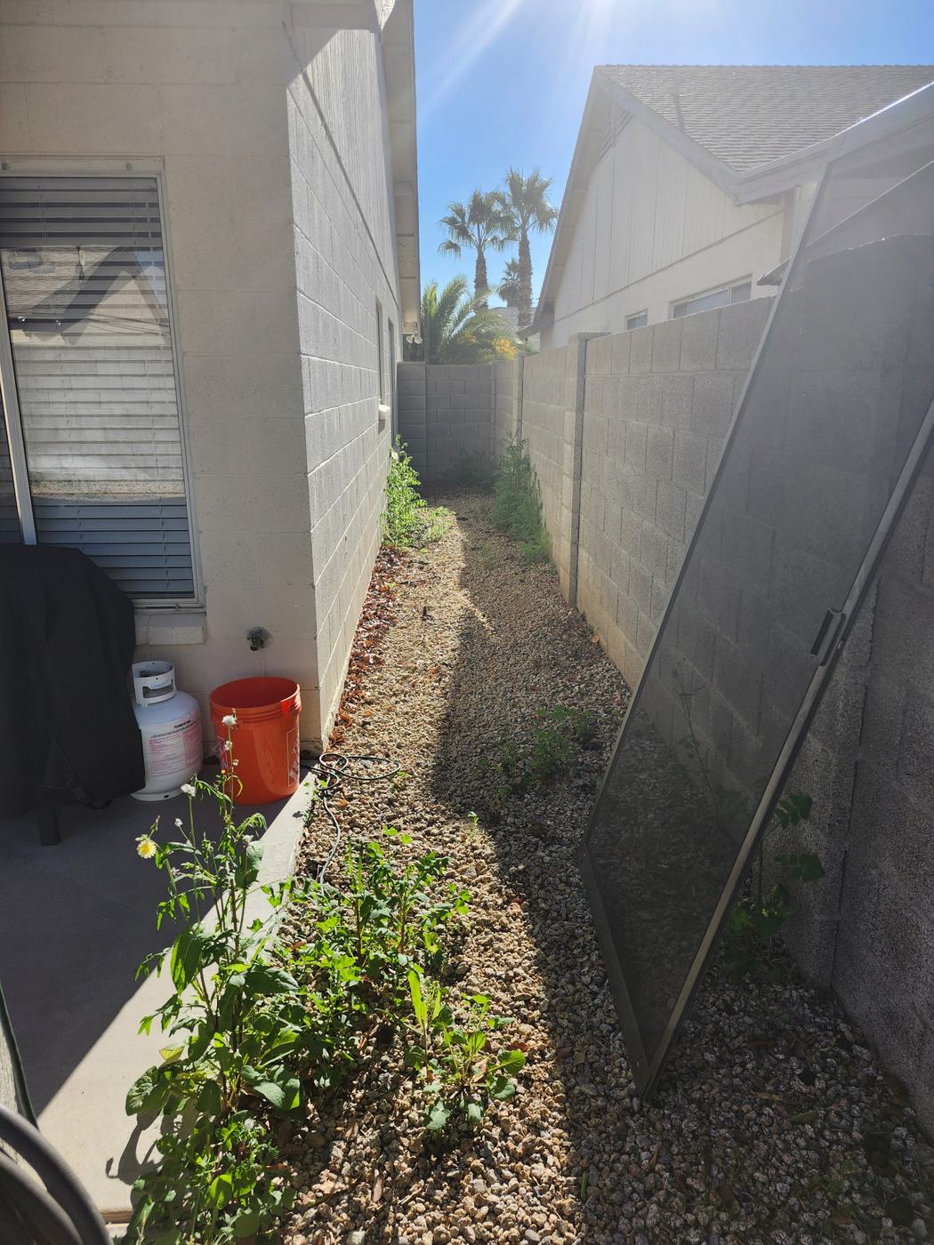 Side Yard Weed Cleanup before service
