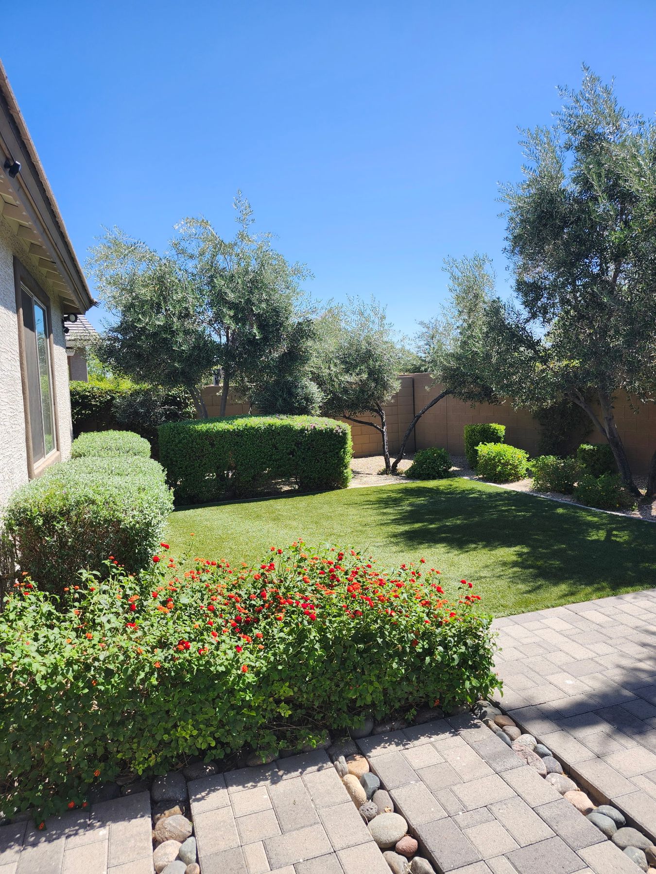 Grass revival, sod, and reseeding for a West Valley home