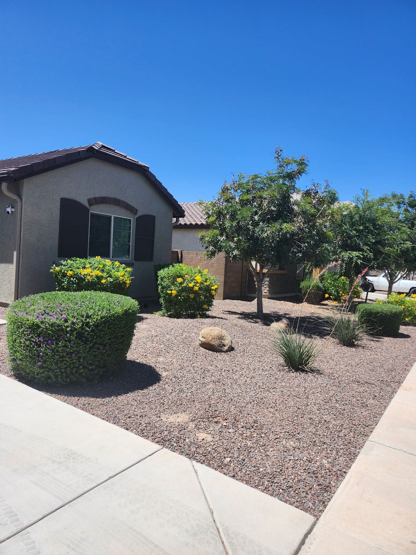 Desert plant installation and plant removal in a West Valley yard