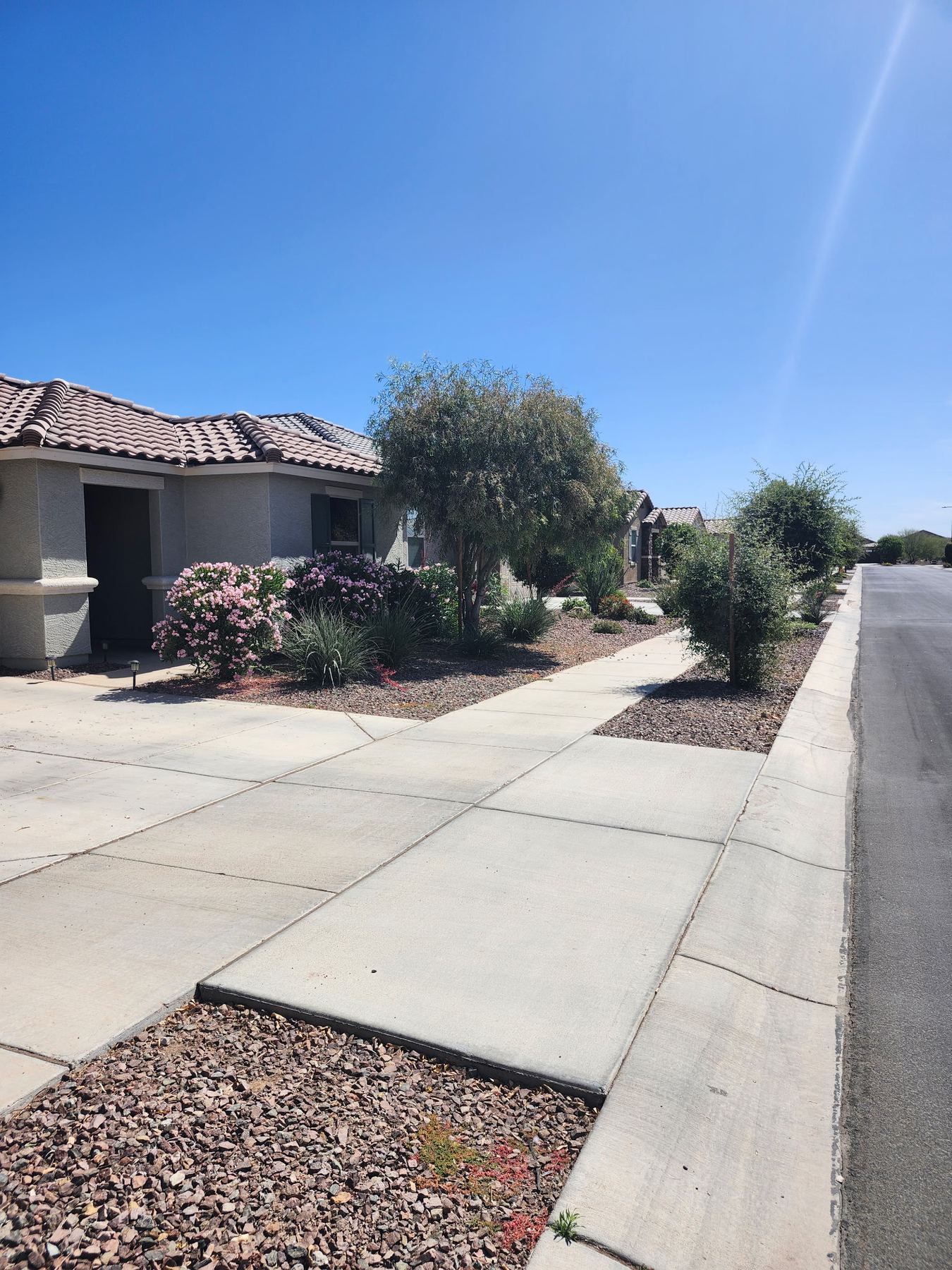 Grass revival, sod, and reseeding for a West Valley home