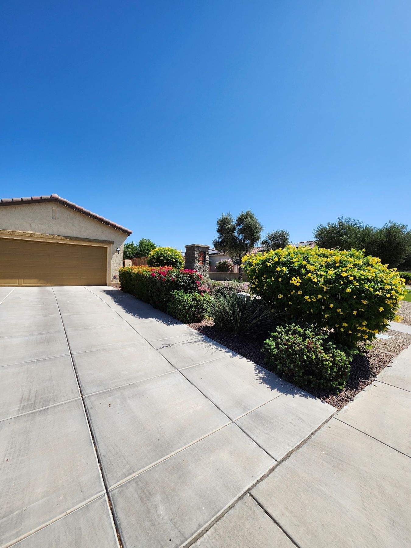 Clean West Valley front yard maintained by Rios Lawn and Tree Care