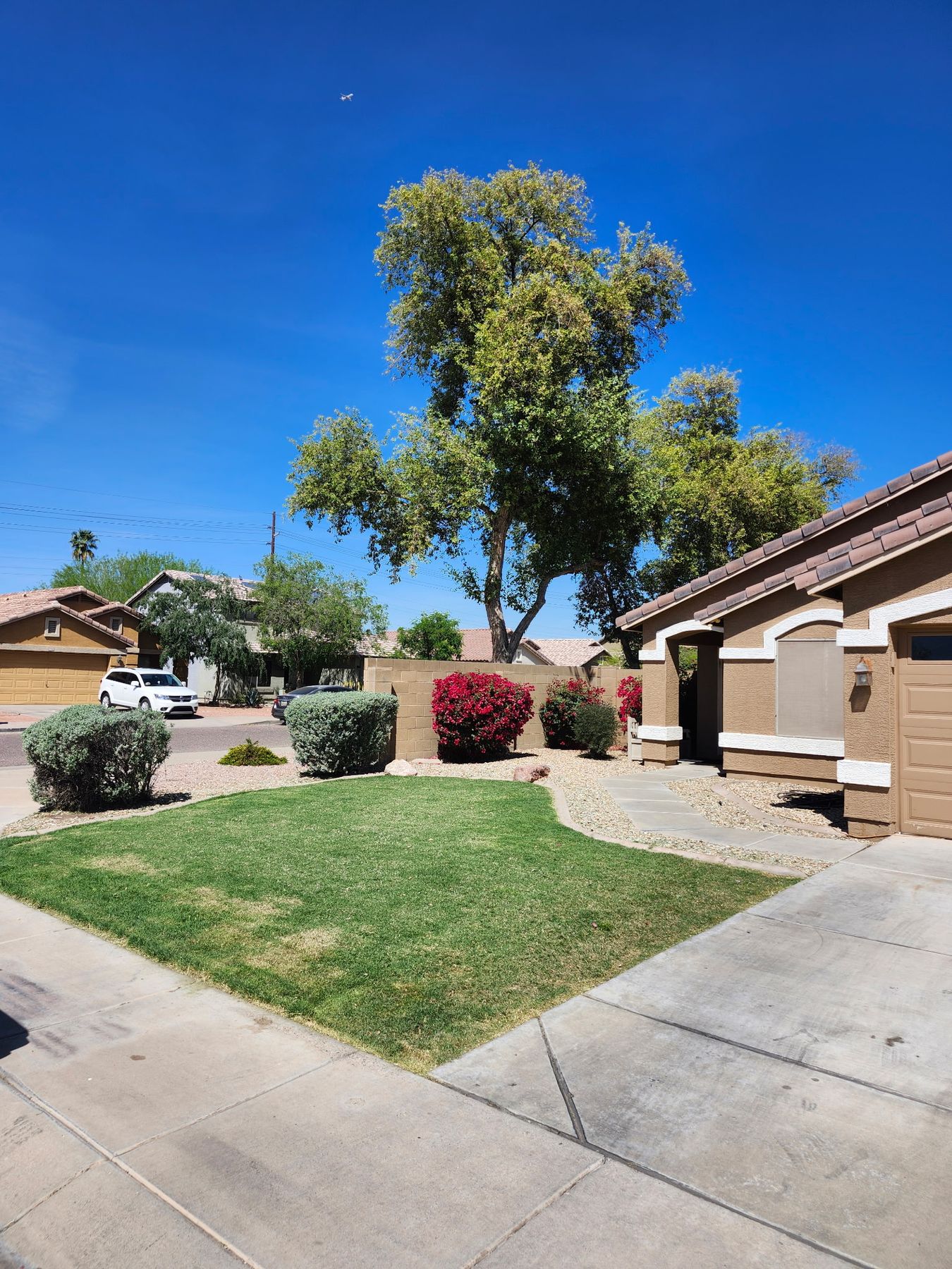 Clean West Valley residential yard after monthly maintenance