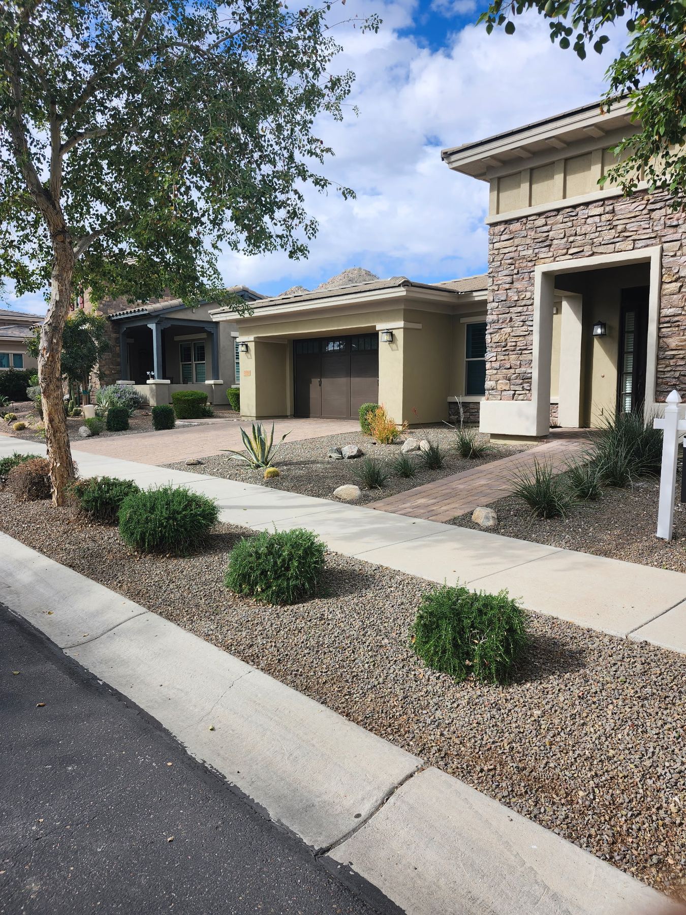 Clean West Valley residential yard after monthly maintenance in Glendale