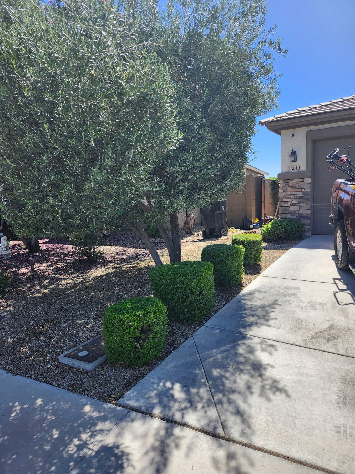 Tree and shrub trimming for a Glendale residential yard