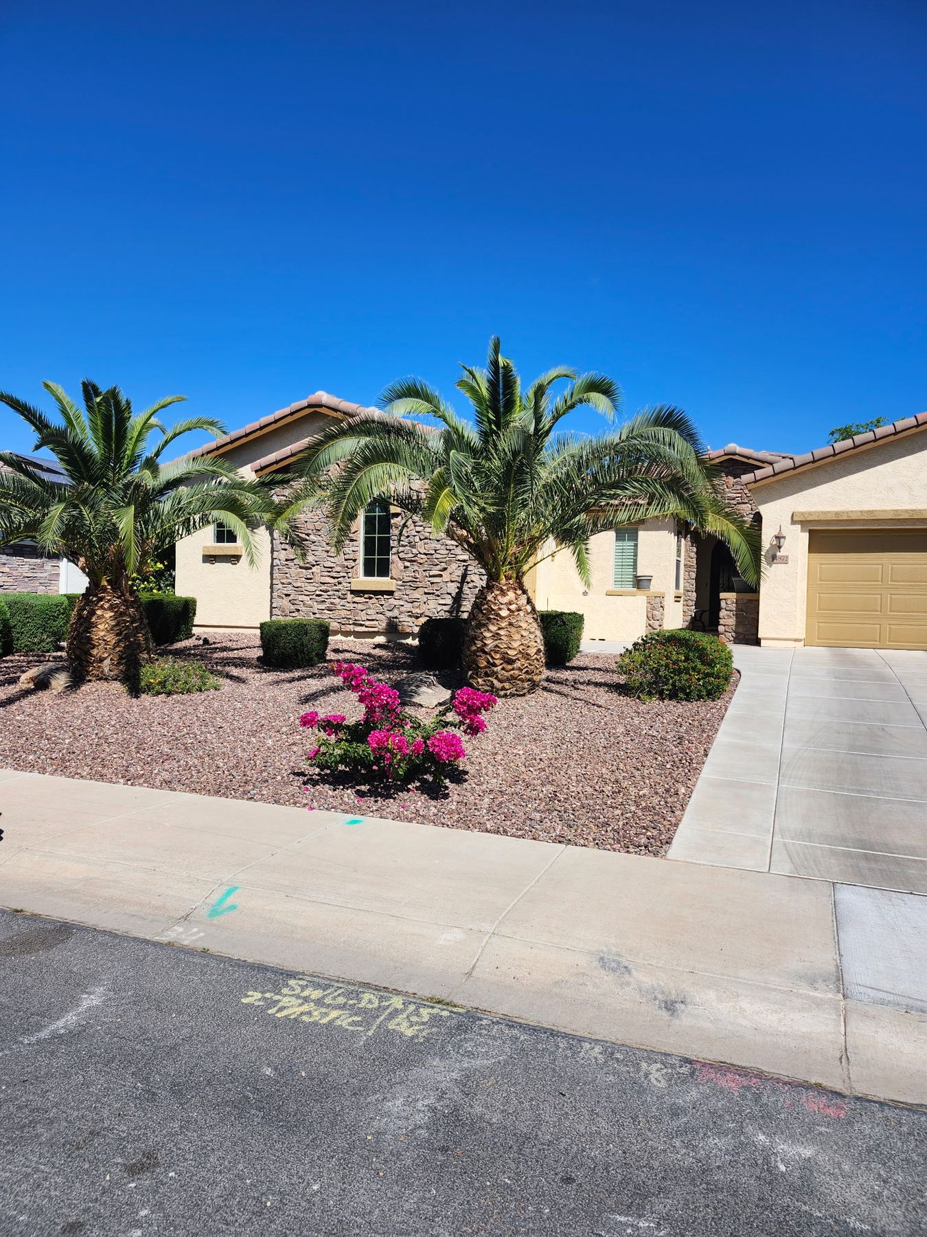 West Valley front yard with palms and clean curb appeal before selling or renting