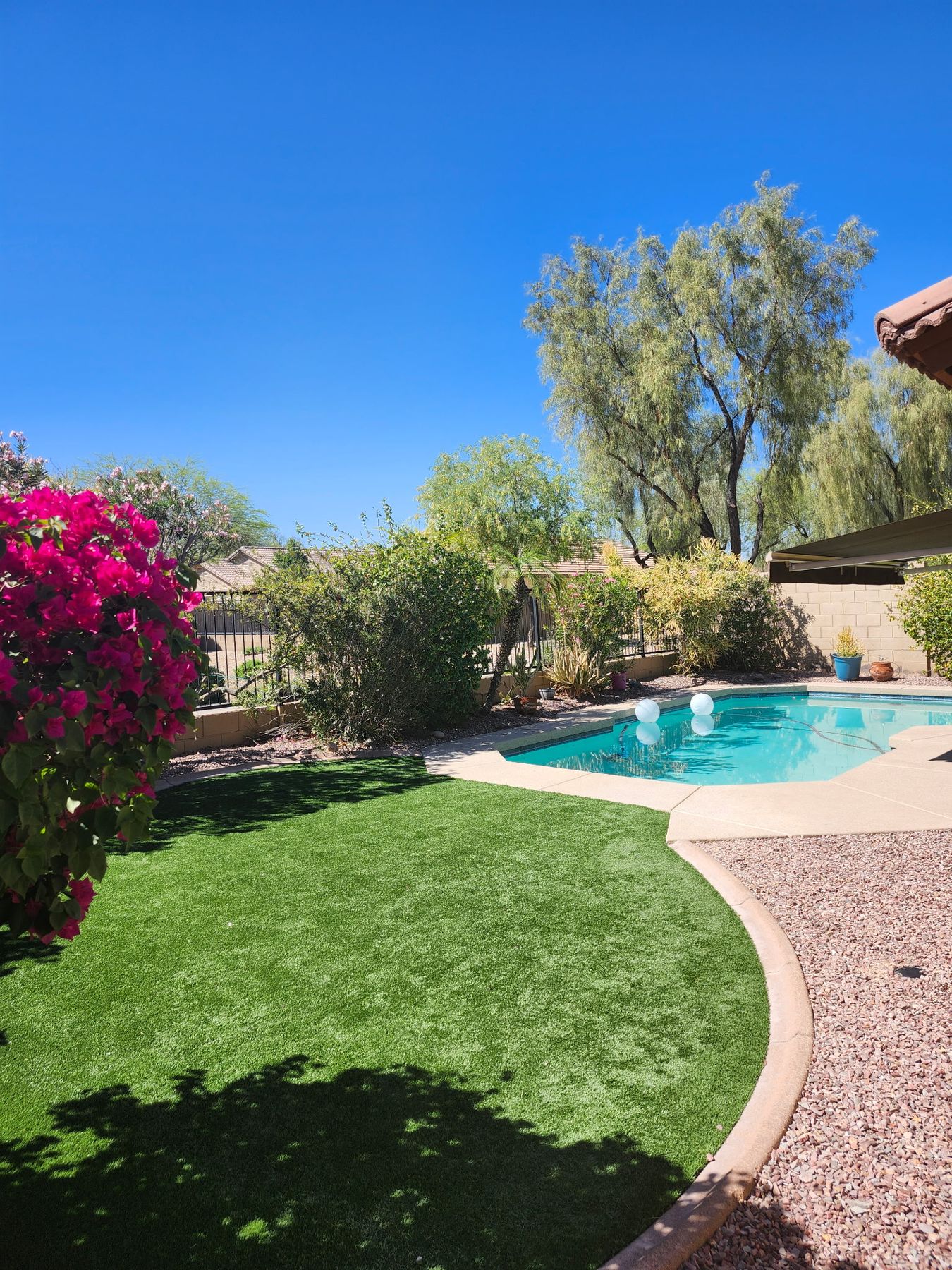Residential lawn and flowering front yard in the West Valley